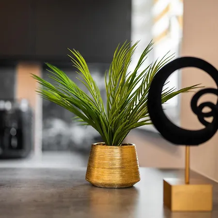 Black Luxury * Katowice