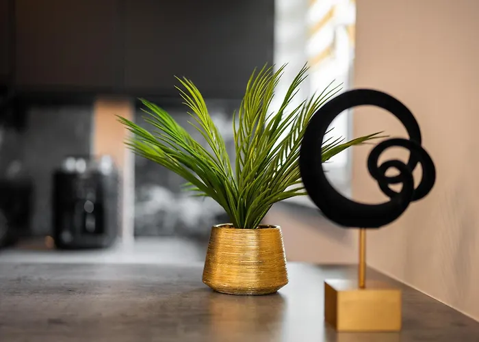 Black Luxury * Katowice